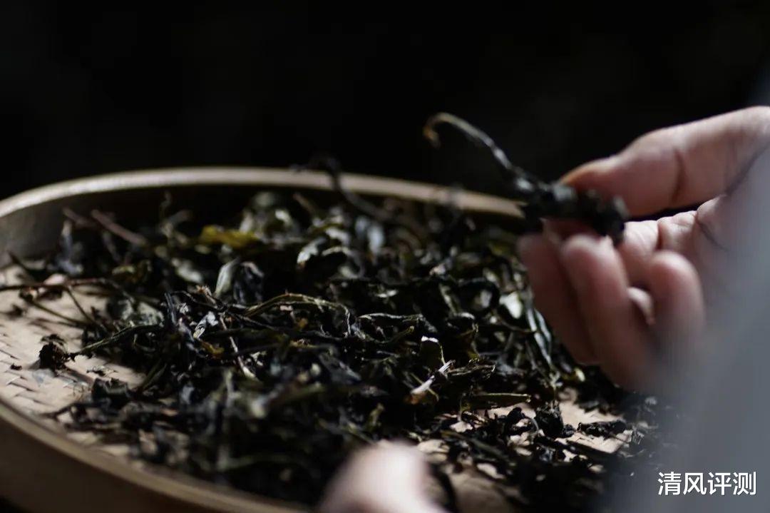 |茶叶什么品牌好?中国十大茶叶品牌排行榜盘点