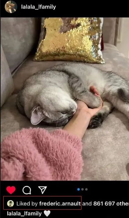 恋情早实锤了，还舍不得官宣？