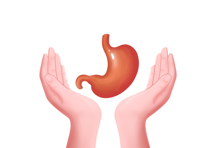 胆固醇|脾胃不好可以多吃“土”