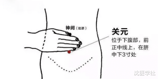 教你分辩你是否也出现了肾阳虚？自测顺便给自己打个分吧
