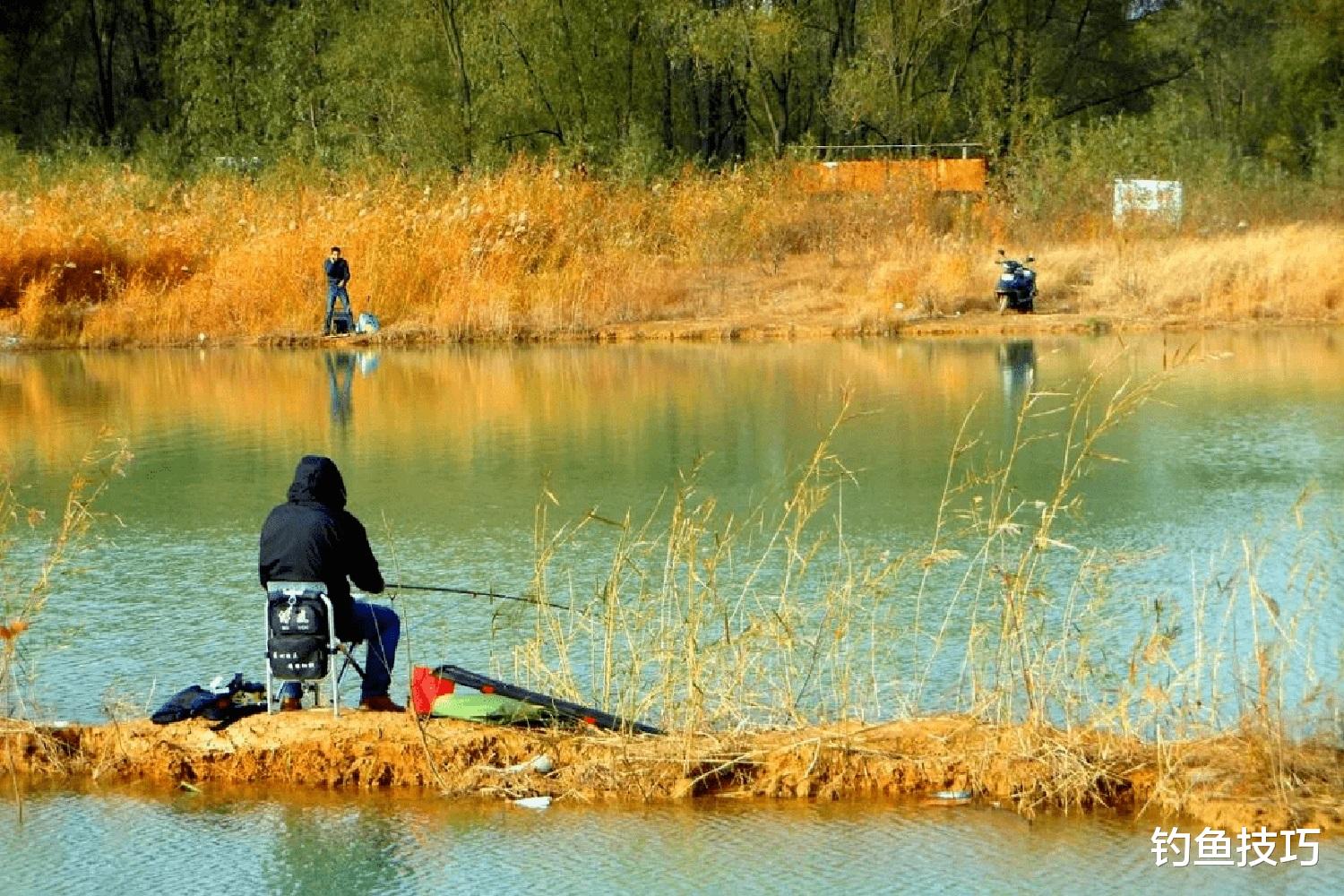 冬天鲫鱼喜欢藏身的4种水草区，大板鲫很多