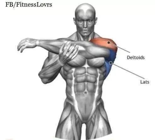 高血压|到底什么是“死肌肉”？