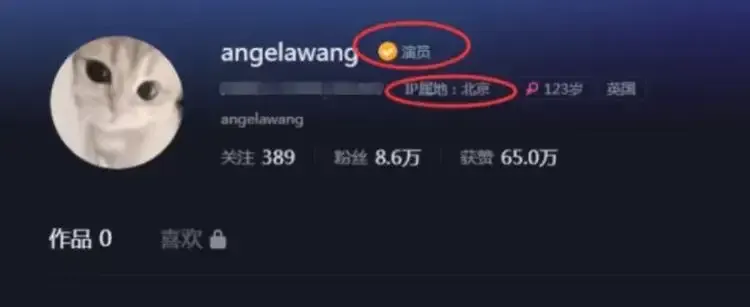 王诗龄 王诗龄，引发热议！