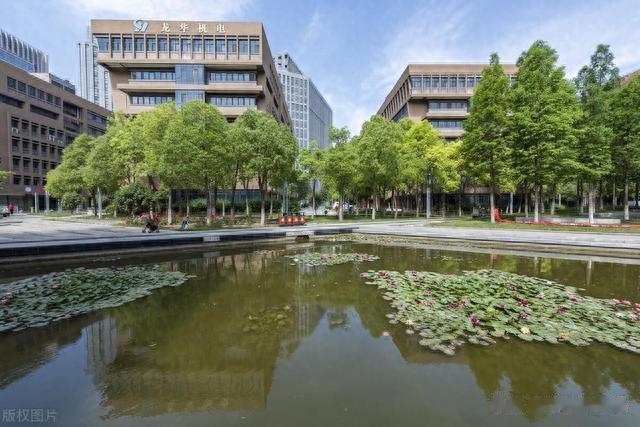 Mate60 Pro卖爆,任正非只说2个字:人才,去年华为研发费1615亿元