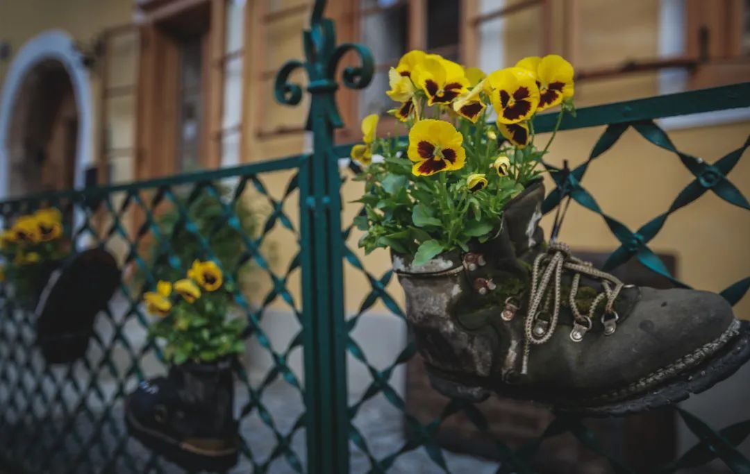 |离你最近的三个人,往往是你生命中的“贵人”