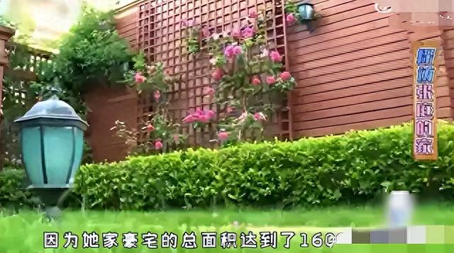 善恶终有报，花17亿买“楼”害人的张庭夫妇，如今下场大快人心