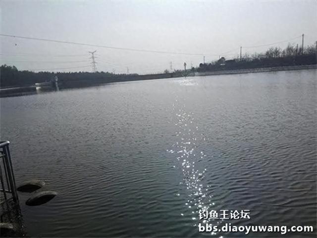 地狱猫水库试钓，遇涨水小有收获