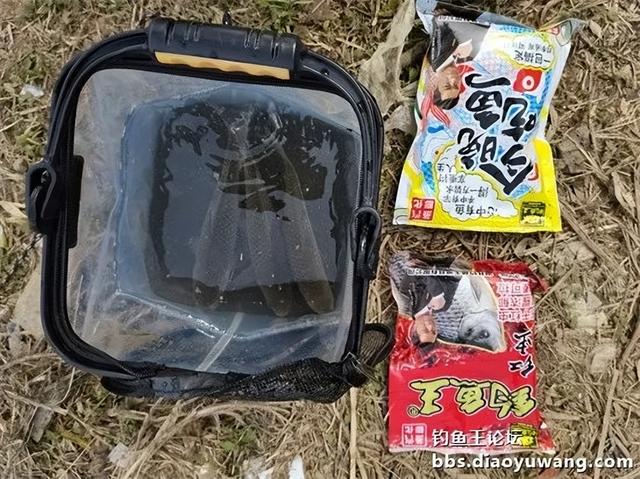 纳米|大水面的追寻，终得板鲫归