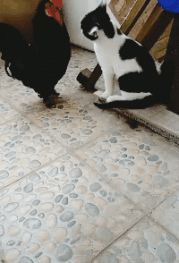 |“我老婆很像范冰冰,你们是不是嫉妒了?”评论区精彩了!