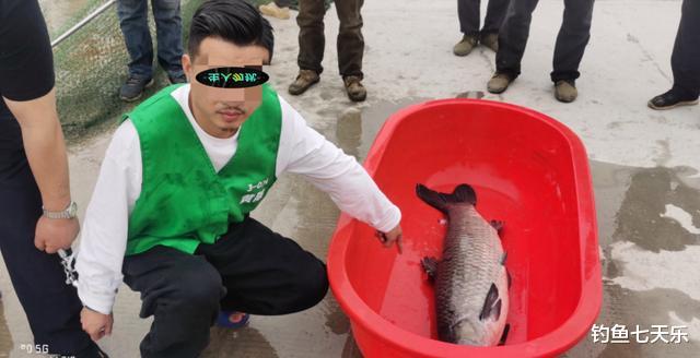 水底奥秘|一条标鱼60万!武汉一钓场被端掉,“天价标鱼”背后暗藏哪些内幕