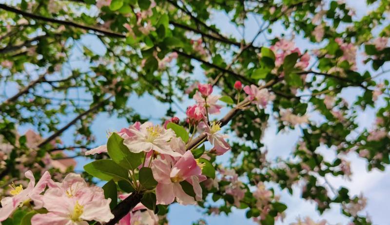 跳槽|接到offer后原公司为了挽留我，却给我涨薪50%，我该怎么办？