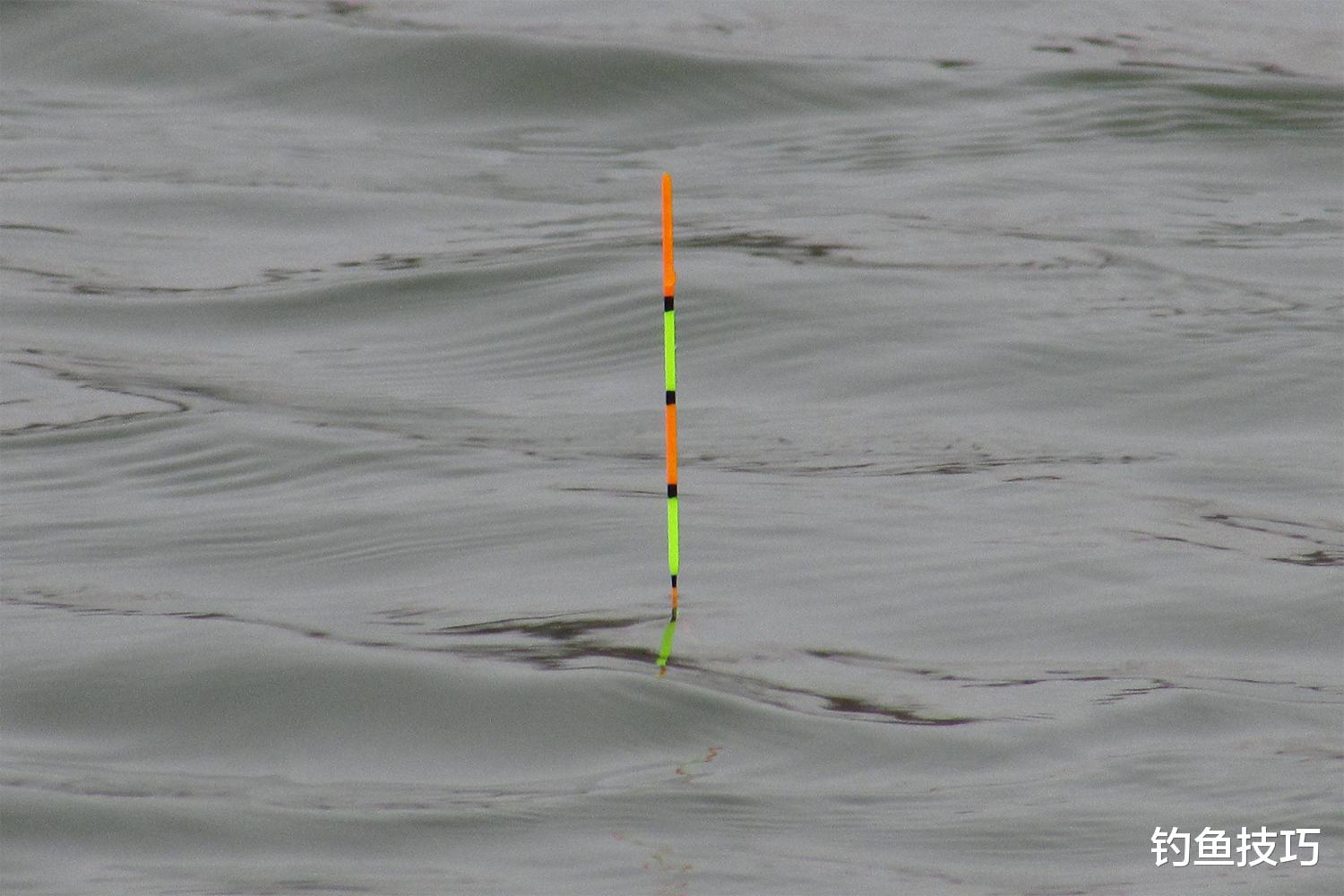 钓鲤鱼的调漂技巧,让鱼口变得十分清晰