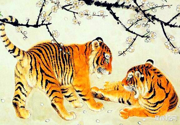 辽宁男篮|即将被好运气眷顾的4个生肖,5月富起来,6月有名望