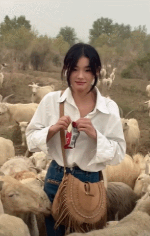 四大天王|可耻！第四者设局，嘎羊少女及经纪人被坑，新年首播被骂惨