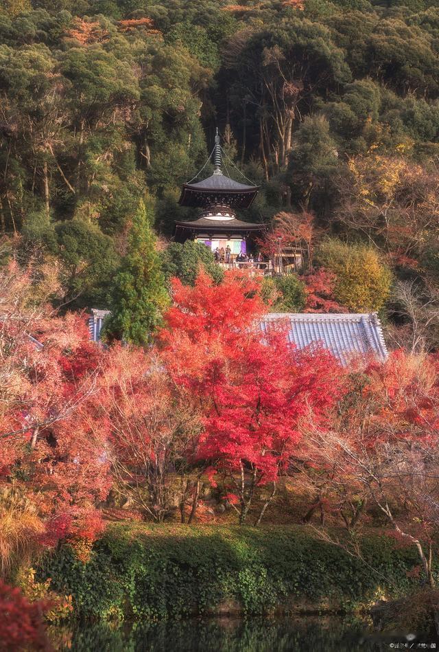 徒步|中国赏红枫最美的10个地方，枫叶最好看的景点，你去过几个？