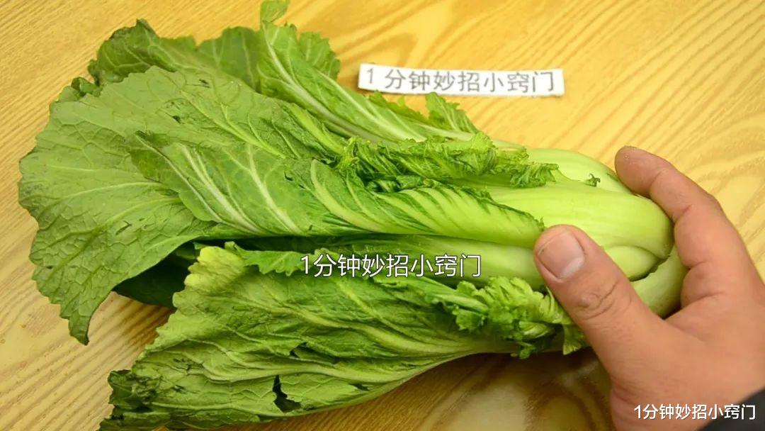 |不管腌什么酸菜,记住4个小诀窍:酸菜不烂发霉,味道正宗又脆爽