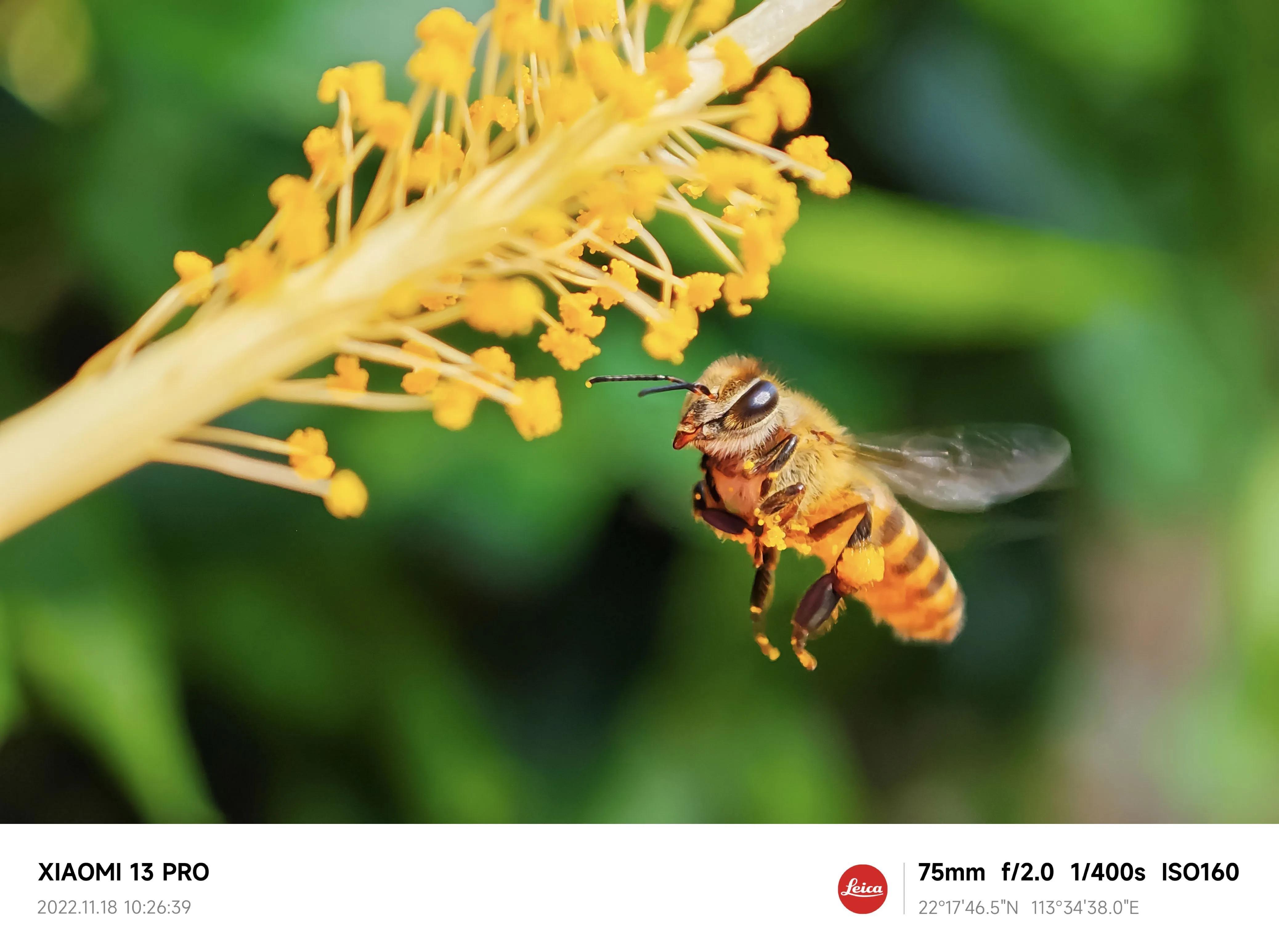 苹果|为止颓势,苹果开启全面降价,国产旗舰思路转变,赢得人心。