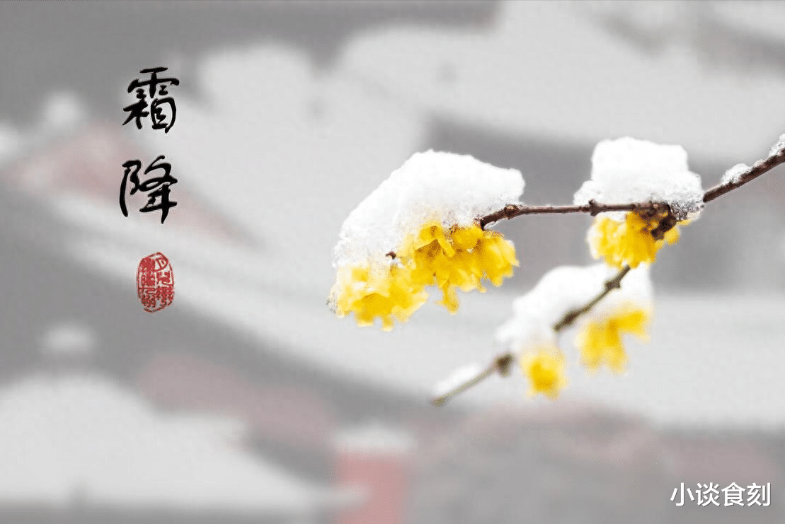 霜降|明日霜降,老话说“重阳不生火,霜降不降霜”,分别是啥意思?