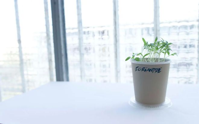 穿衣搭配|职业可以在很大程度上定义我们的人生，但是职业不等于人生的全部