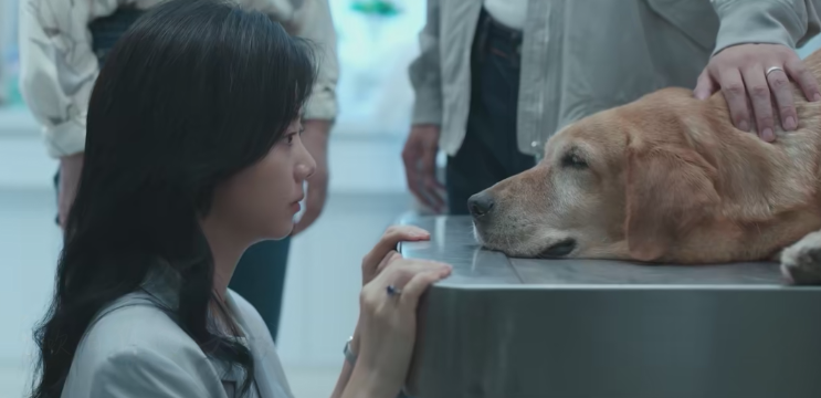 《再见，李可乐》票房井喷，打了多少资方的脸，吴京又赌对了