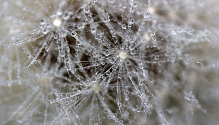 刘志强|工作真的有意义么？分享一下我的见解