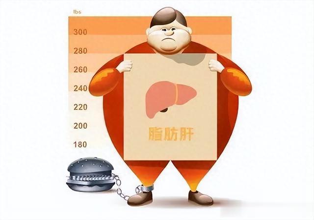 胖着胖着脂肪肝就来了，如何给肝脏“减肥”？
