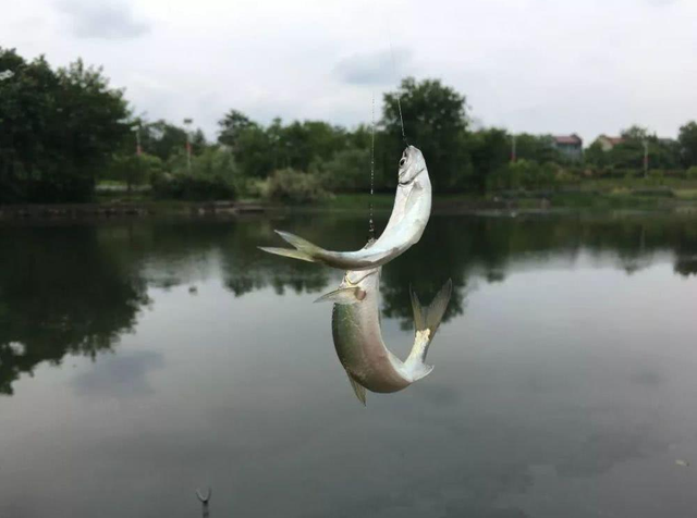 夏季狂拉白条攻略,这些位置包你狂拉过瘾,停不下来!