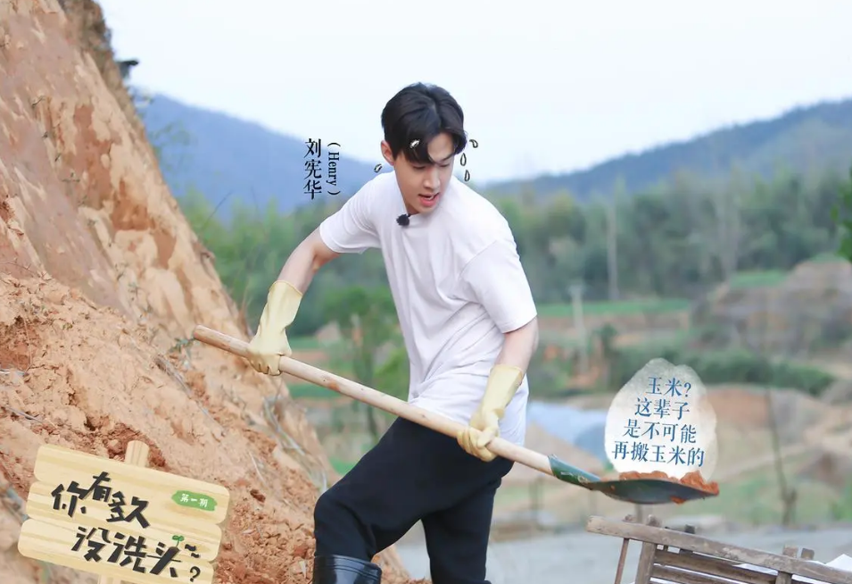 刘宪华|刘宪华回归向往的生活，自曝离开节目的原因，让人泪目心疼