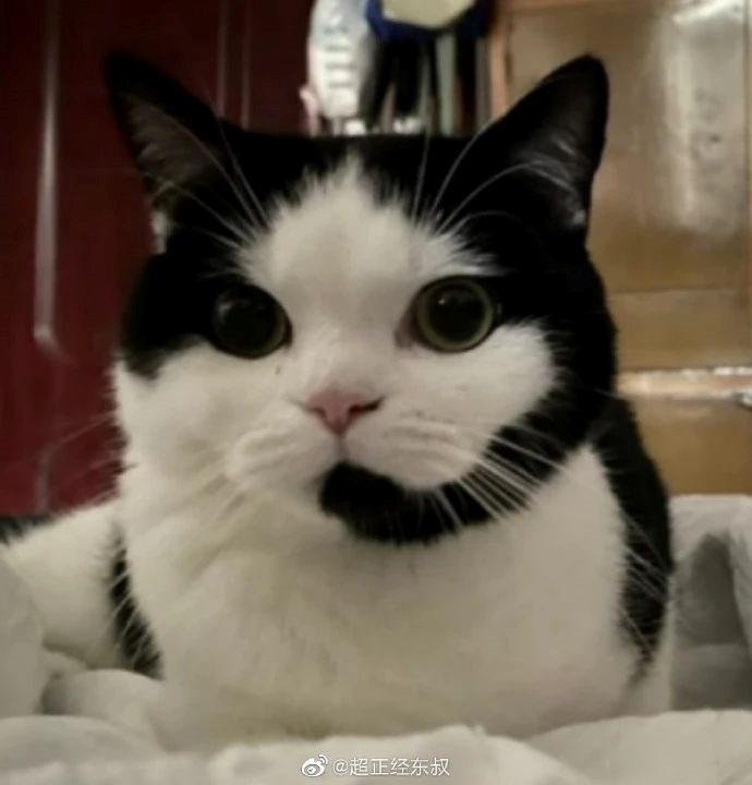 运动|有一个会瑜伽的女朋友有多幸福