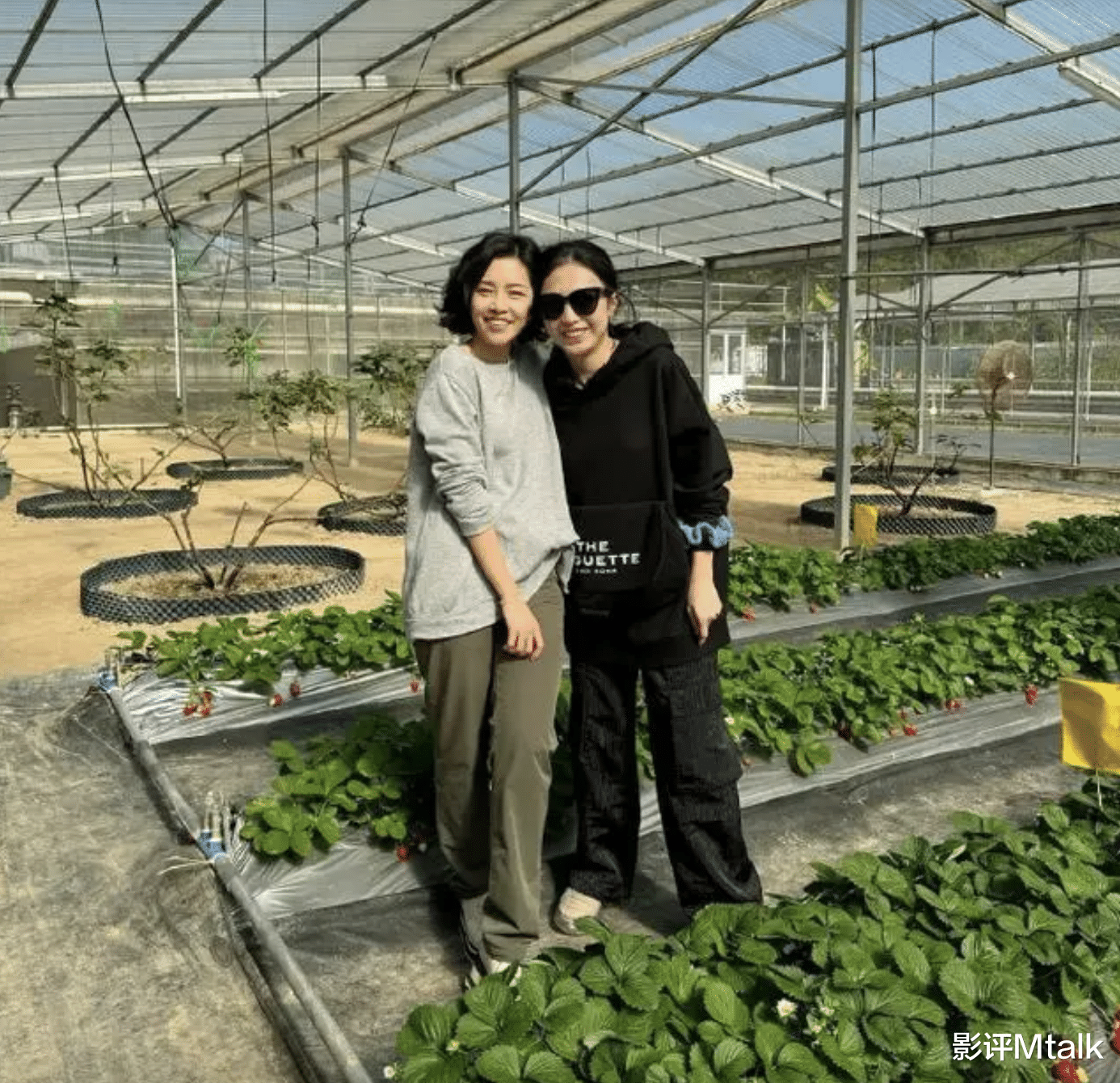 女富豪甘比的生活近照,平时都喜欢过着田园生活,有空就种点菜