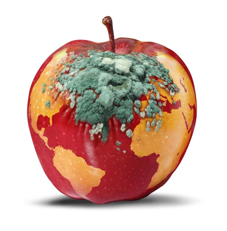 腹泻|从腹泻到死亡仅24小时！提醒：4种拉肚子要警惕，或是癌症信号