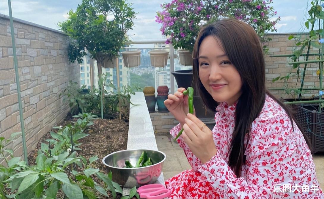 分手的26年后，赖文峰出狱乡下结婚度日，杨钰莹的选择让人心疼