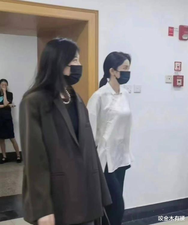 杨幂出席文艺座谈会,倡导抵制阴阳合同与偷逃税,评论区一针见血