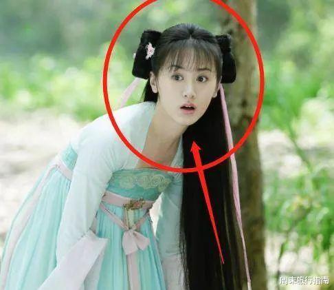 突发！又一中国女星栽了！多次偷漏税不悔改，这头到底有多铁？