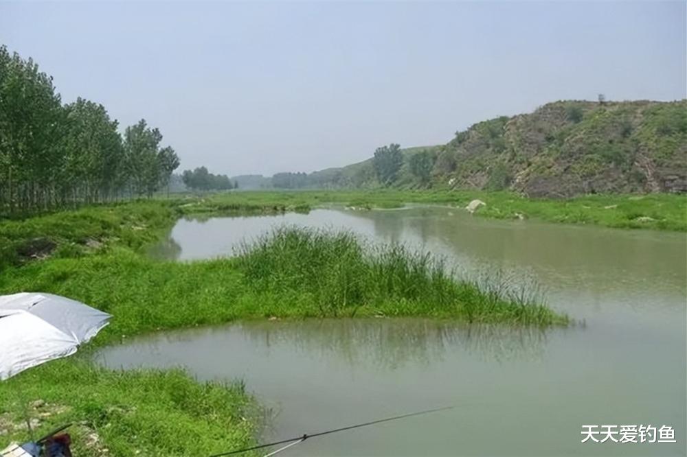 |夏季钓鲫鱼,掌握3个“必杀”技巧,狂拉大板鲫