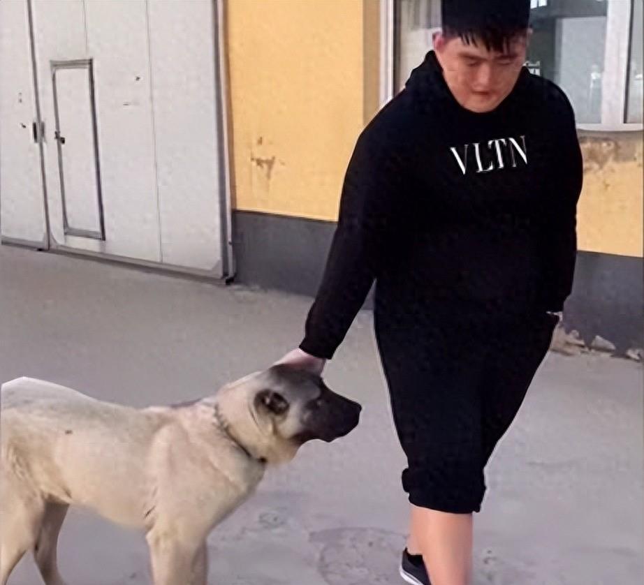 天道好轮回，善恶终有报！66岁的赵本山，竟被儿子毁在了这件事上？