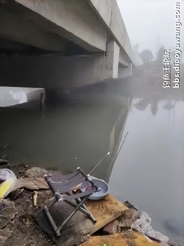 地狱猫一开,爆护自然来