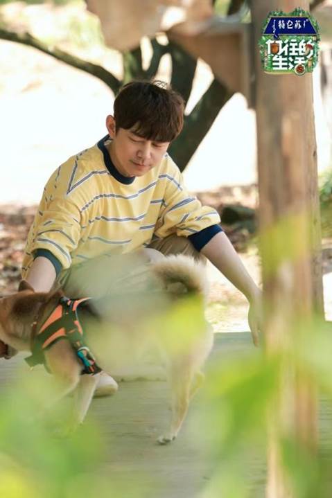 陈乔恩|吴越陈乔恩万茜张新成开启卡拉OK专场专属放松尽在《向往的生活》