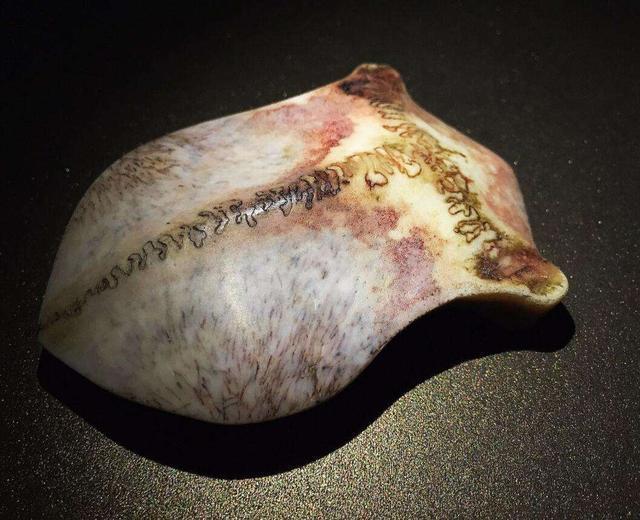 这9种“重口味文玩”，一般人碰都不敢碰，却有人喜欢到不行