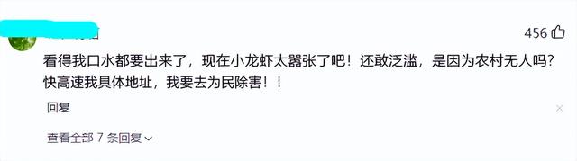 |泛滥了？河北一小水沟里成群小龙虾清晰可见，过路老乡捞起许多
