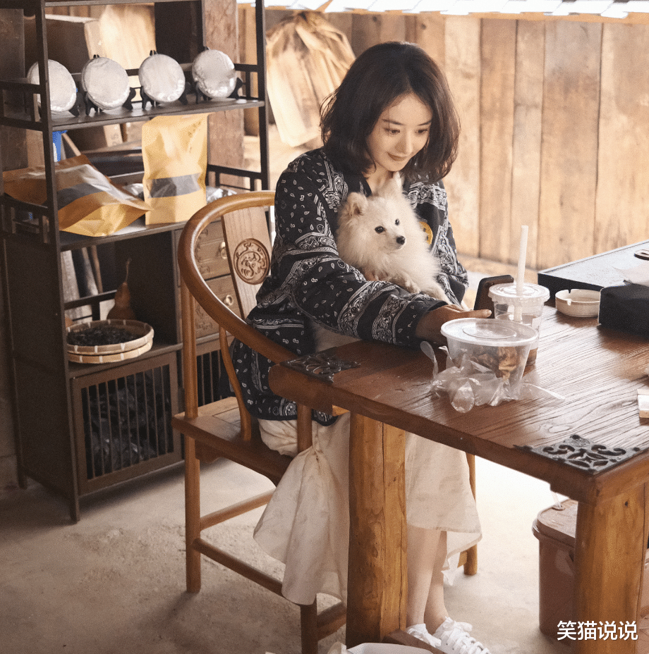 |赵丽颖工作室晒照：颖宝怀抱小狗好温柔，与宠物自拍好可爱！