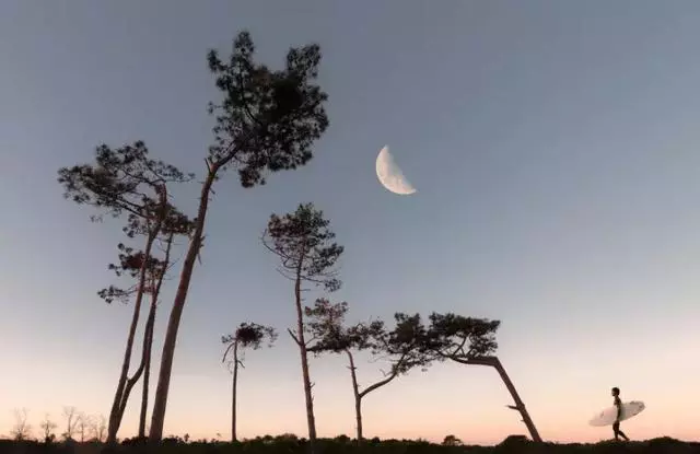 张译|从张译事件到朱军事件，我发现：一种畸形观念，正在网上野蛮生长