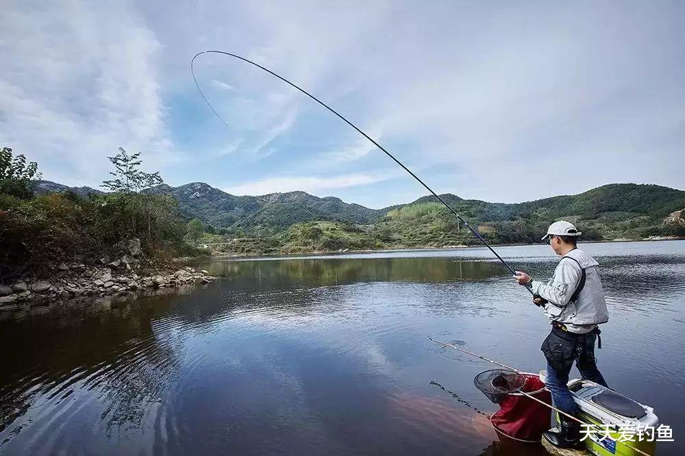 紫菜做饵料,野钓通杀青草鲤,具体用法在这里