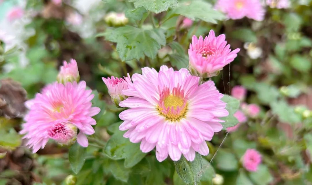 职场上，太单纯的人的10个表现