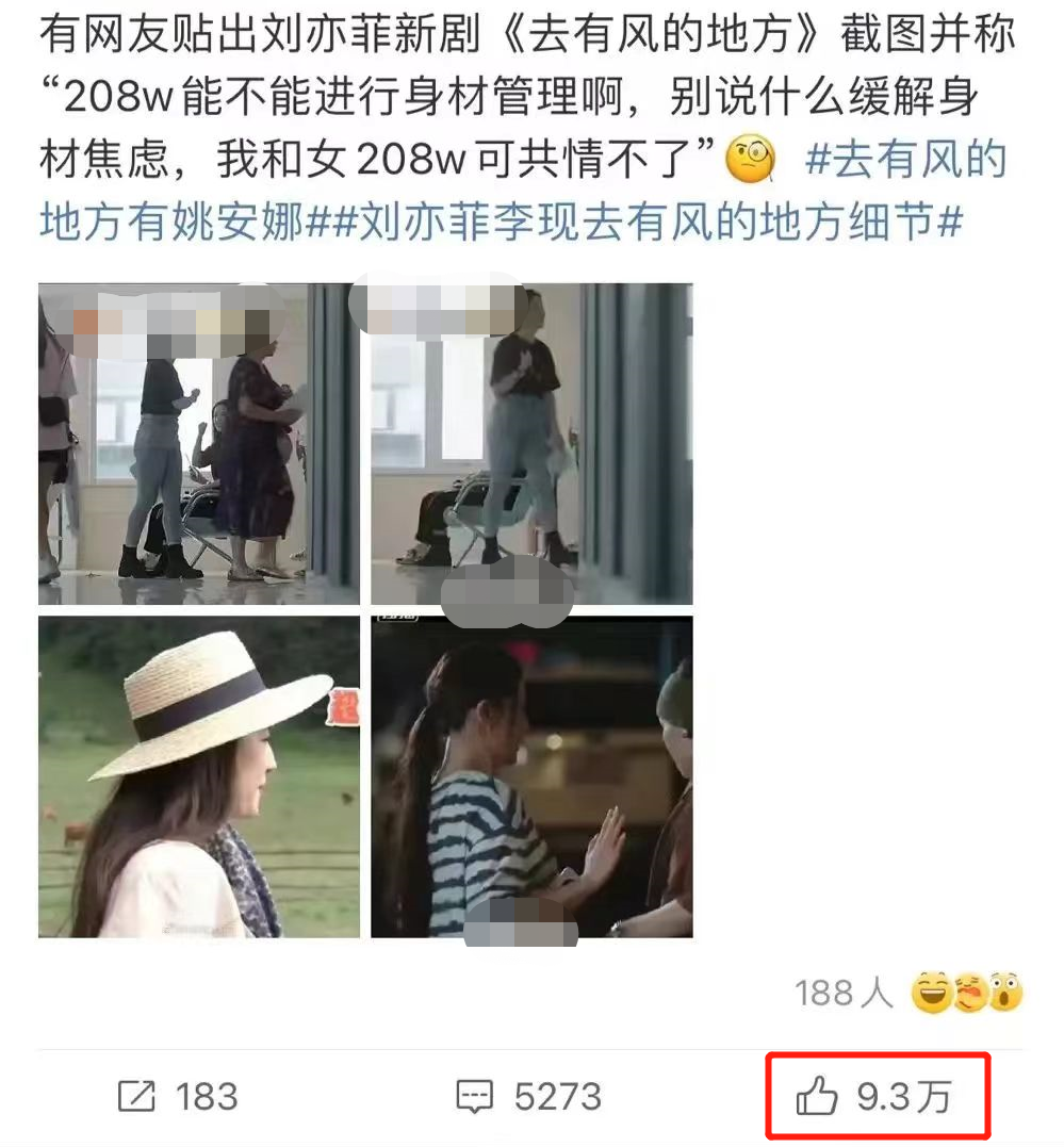 刘亦菲|刘亦菲“丑胖”+剧情寡淡,《去有风的地方》凭啥火?真相来了