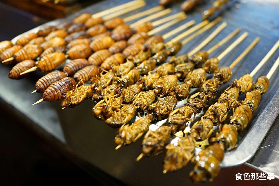 洋葱|世界上最好吃的10种昆虫，你真的敢吃吗？