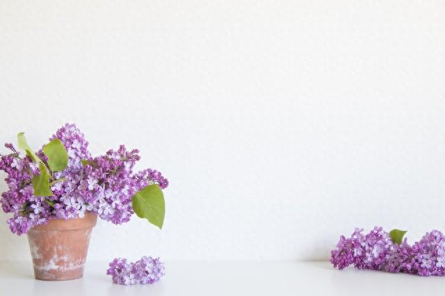 每天都要坚持的15个好习惯