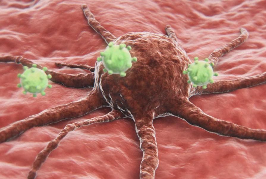 蛋白质对老年人意义重大，建议老年人：2种高蛋白食物别不舍得吃