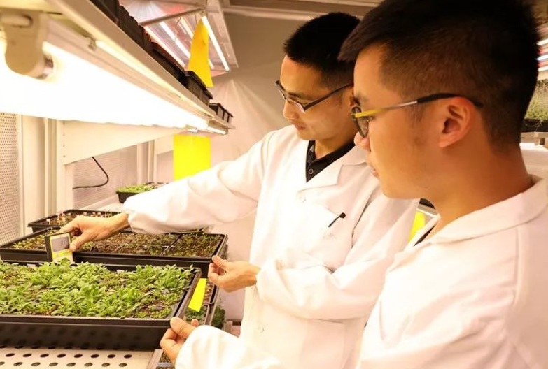 国企|号称三年亏掉40亿的中国烟草,一般人却进不去,3个因素是拦路虎