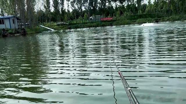 |这套浮漂绝了,微加粗又不失灵性,钓友:可以承包我一年的用漂